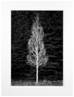 Two photographs by John Lytton