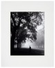 Hyde Park, London, 1951 - 2