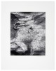 Mud Cracks, Anza Borrego, 1985 - 3