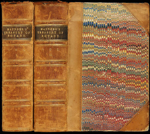 The Treasury of Botany: A Popular Dictionary of the Vegetable Kingdom