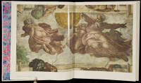 The Vatican Frescoes of Michelangelo