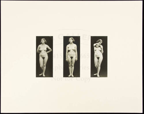 Nude Triptych