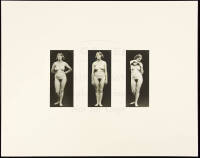 Nude Triptych