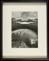 Untitled [pond with asteroid]