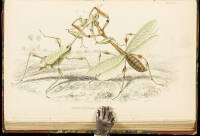 The Naturalist's Library
