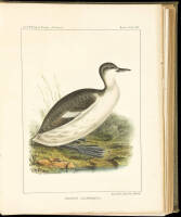 The Natural History of Washington Territory
