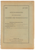 &Uuml;ber die Interferenzeigenschaften des durch Kanalstrahlen emittierten Lichtes