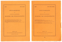 Two works by Einstein on General Relativity and the Hamiltonian Principle
