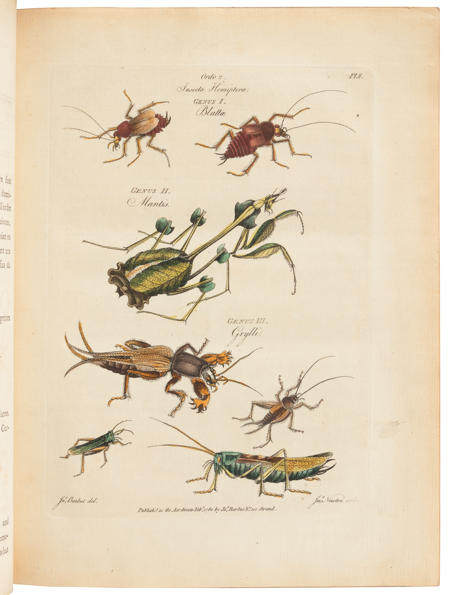 Genera Insectorum of Linnaeus Exemplified by Various Specimens of ...