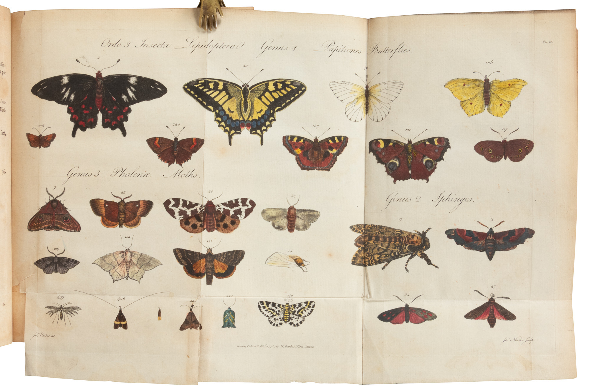 Genera Insectorum of Linnaeus Exemplified by Various Specimens of ...