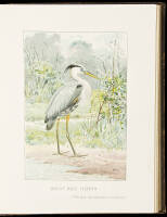 Third Annual Report of the Commissioners of Fisheries, Game and Forests of the State of New York