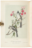 Illustrations of the Birds of California, Texas, Oregon, British and Russian America. Intended to contain Descriptions and Figures of all North American Birds... - 4