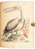 A Natural History of Birds - Gleanings of Natural History - 7