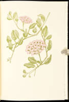 Selected Shore Plants of Southern California