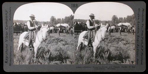 Collection of approximately 69 stereo views of numerous American subjects