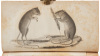 American Natural History - 4
