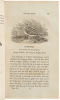 History of British Birds, the Figures Engraved on Wood by T. Bewick - 6