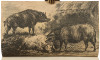 Remarks on Forest Scenery, and other Woodland Views, (Relative chiefly to Picturesque Beauty) Illustrated by the Scenes of New-Forest in Hampshire - 3