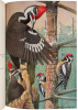 Birds of Massachusetts and Other New England States - 3