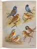 Birds of Massachusetts and Other New England States - 4