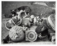 Market, Pays Basque