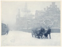 Winter Day