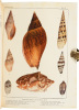 The New Nature Library - 3