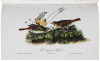 The Complete Audubon. A precise replica of the complete works of John James Audubon... - 2