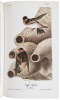 The Complete Audubon. A precise replica of the complete works of John James Audubon... - 3