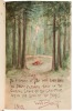 Bohemian Grove Plays - complete run 1907-2013 with plays from 1904-05 - 3