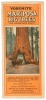Yosemite, Mariposa Big Trees, "The Horseshoe Route": Wawona-Mariposa Grove Big Trees, Inspiration Point, Artist Point, Glacier Point, Yosemite - all included in the "Horseshoe Route." Cool, Quick and Clean - 2