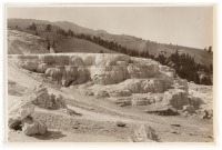 Minerva Terrace