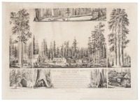 The Mammoth Tree Grove, Calaveras County California. Lapham & Haynes prop.rs Sketched from nature by T.A. Ayres