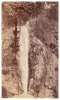 Two Yosemite photographs by George Fiske - 3