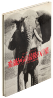 The Last Word from Paradise = Rakuen karano saigo no kotoba