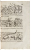 Icones Animalium Quadrupedum [with] Icones Avium Omnium [with] Nomenclator Aquatilium Animantium Icones Animalium in Mari et Dulcibus Aquis