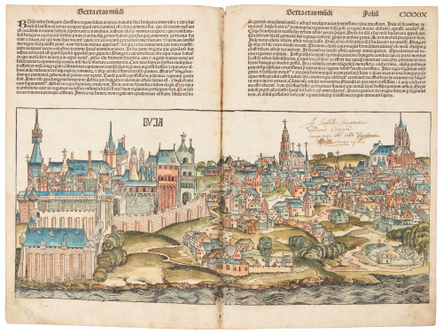Printed leaf with colored woodcut of Buda from the Nuremberg Chronicle (Liber Chronicarum)