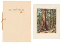The Ahwahnee, Situated in the Yosemite National Park
