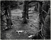 Woman and Dog in Forest