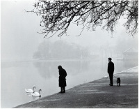 Winter In Hyde Park, London
