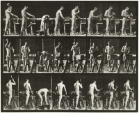Animal Locomotion - plate 507