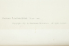 Animal Locomotion - plate 507 - 2