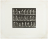 Animal Locomotion - plate 507 - 3