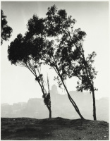 San Francisco from Telegraph Hill