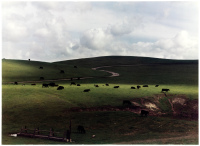 Palo Corona Ranch, Carmel, 1962