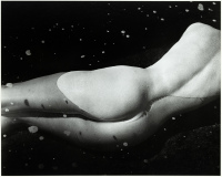 Nude Torso in Water