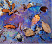 Untitled [Leaves in Oily Water]