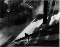 Street Sweeper, Mexico