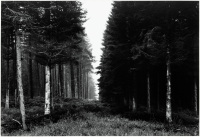 Northumberland, England, 1968