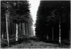 Northumberland, England, 1968